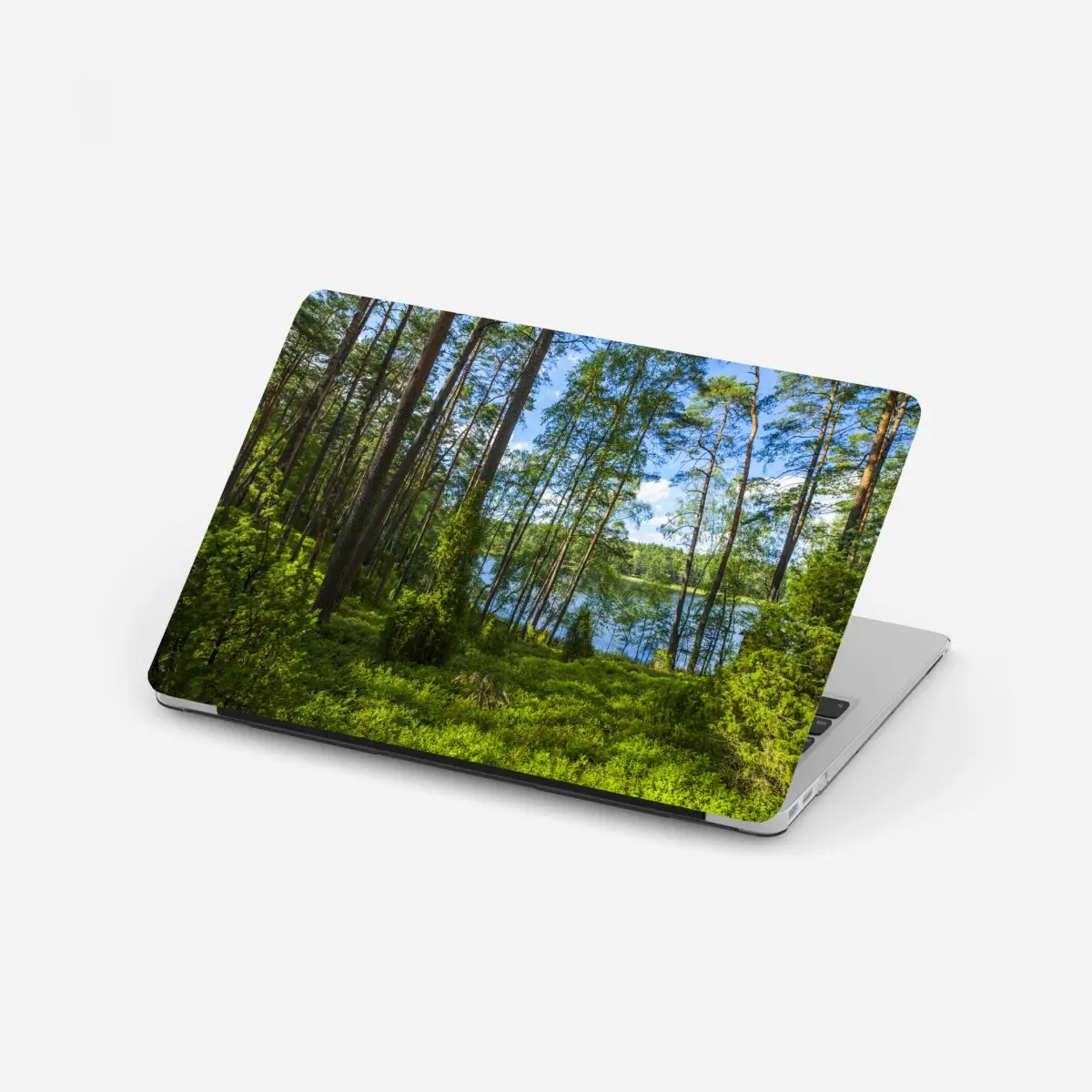 Laptop-Aufkleber ruhiger kiefernwald am see – Wallnifity®