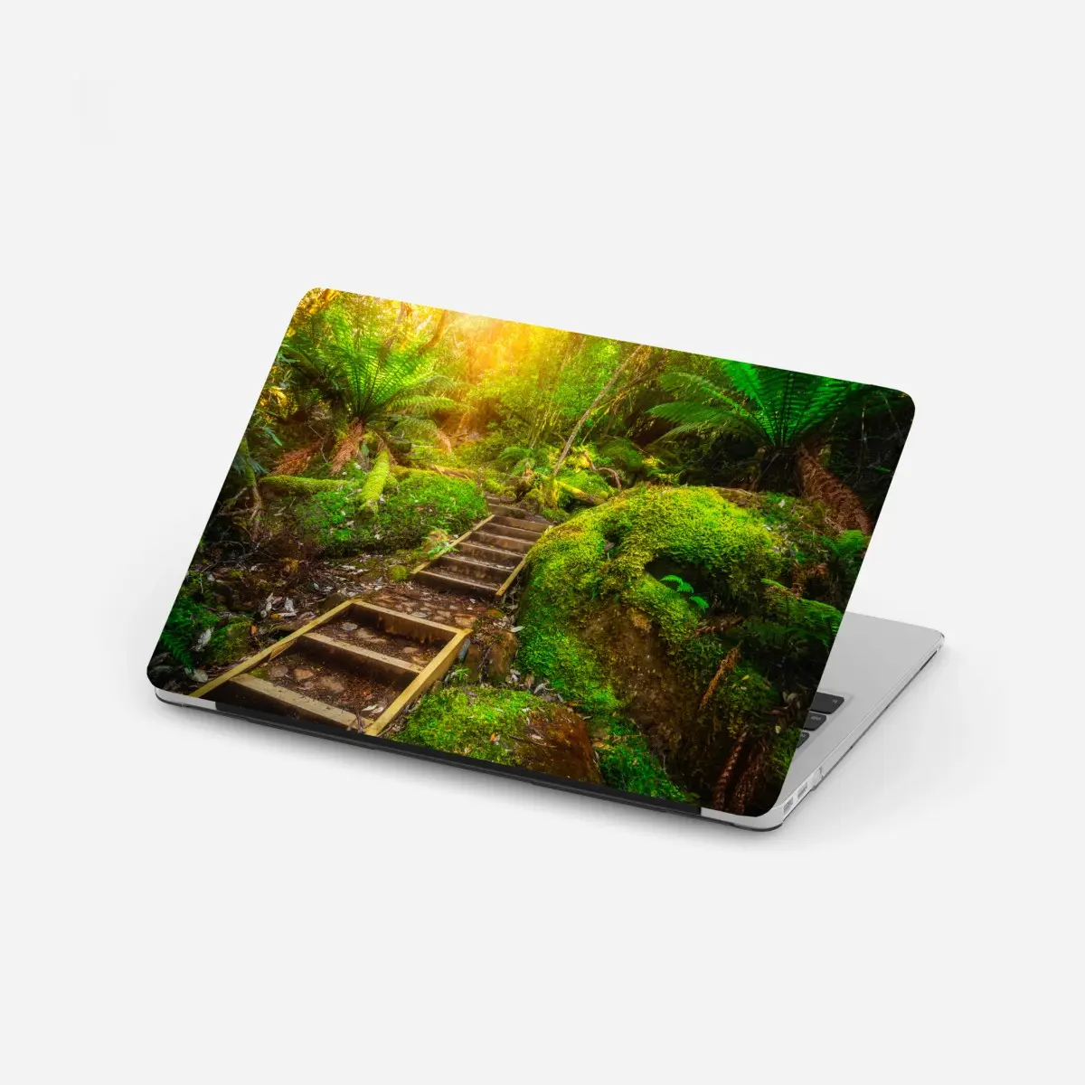 Laptop-Aufkleber moosiger regenwaldpfad auf der Tasman-Halbinsel – Wallnifity®