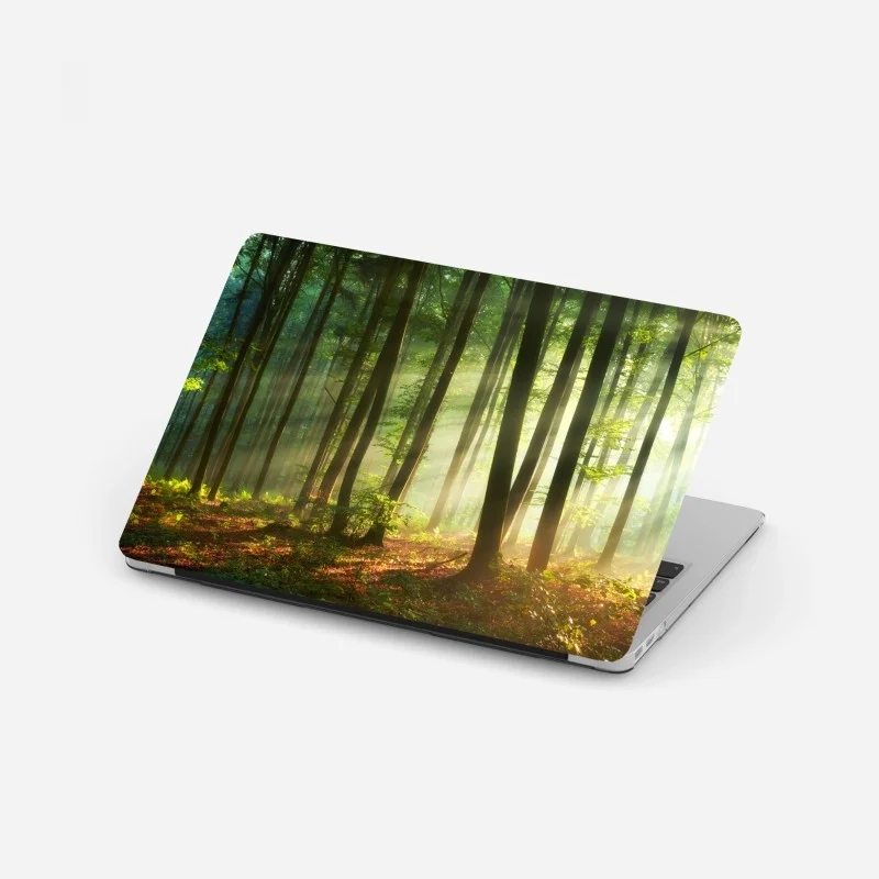 Wälder – Wallnifity®