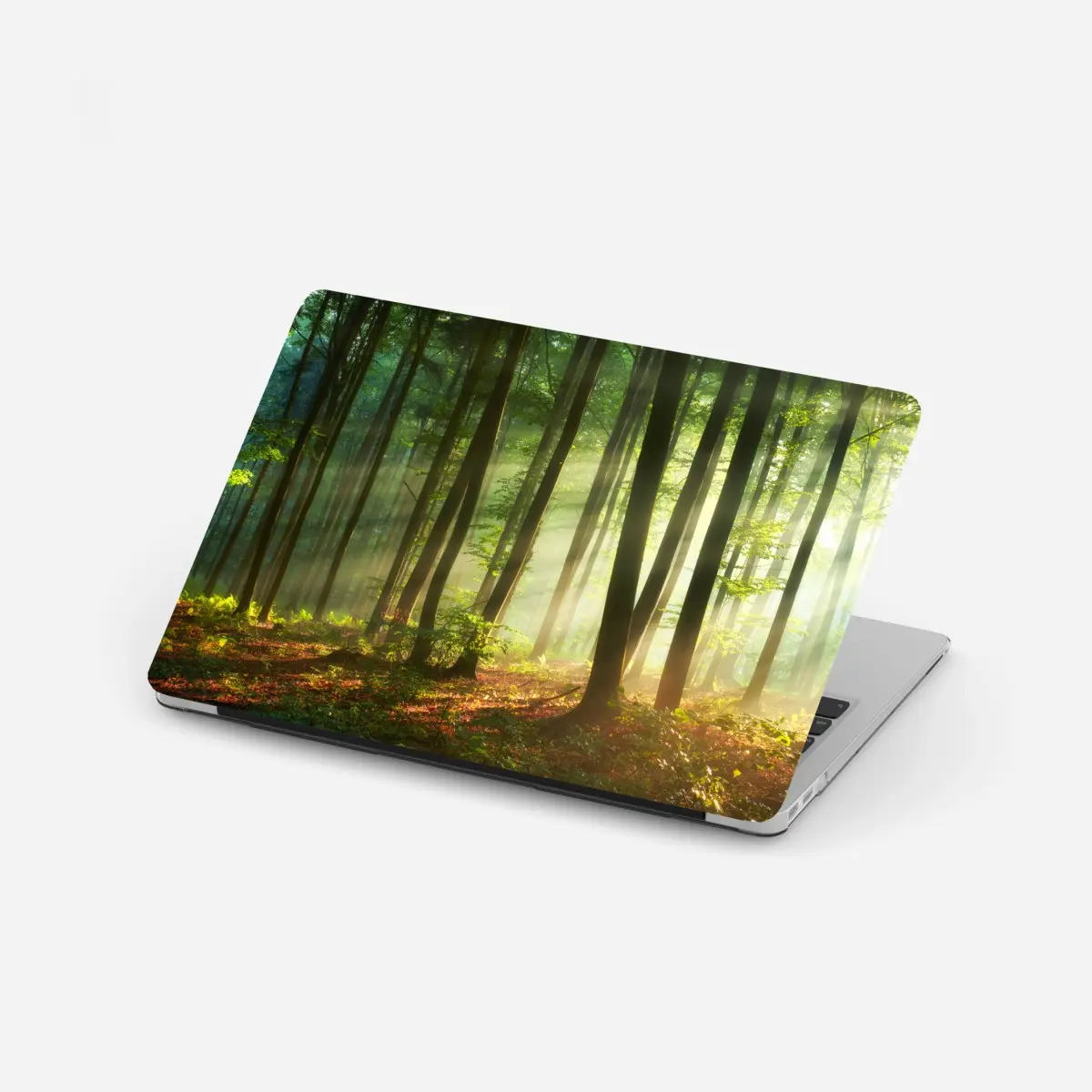 Laptop-Aufkleber sonnenbeschienener morgenwald – Wallnifity®