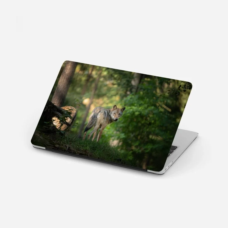Wildtiere – Wallnifity®