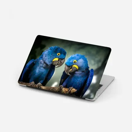 Laptop-Aufkleber paar blauer aras - nahaufnahme – Wallnifity®