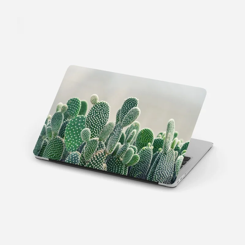 Biophil – Wallnifity®