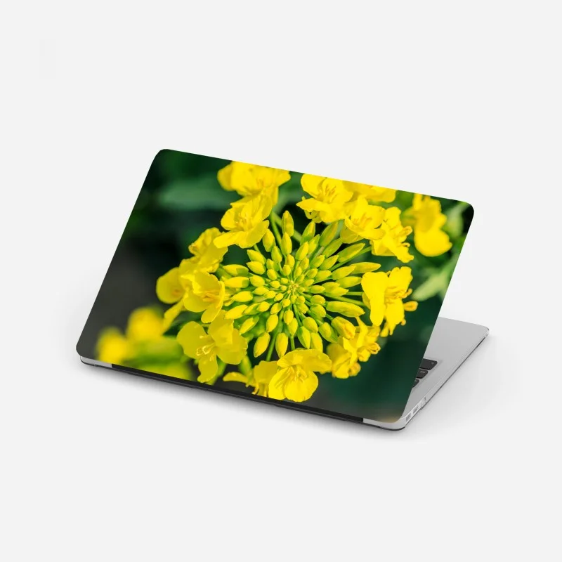Laptop-Aufkleber – Wallnifity®