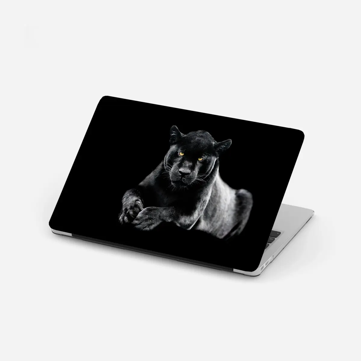 Laptop-Aufkleber porträt eines schwarzen panthers vor schwarzem hintergrund – Wallnifity®
