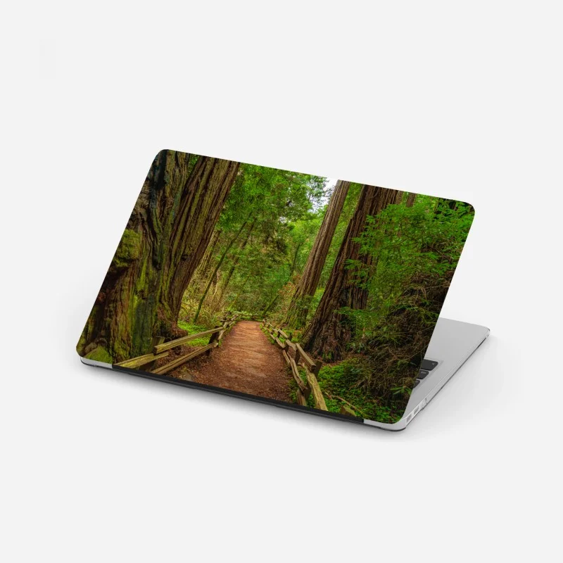 Biophil – Wallnifity®
