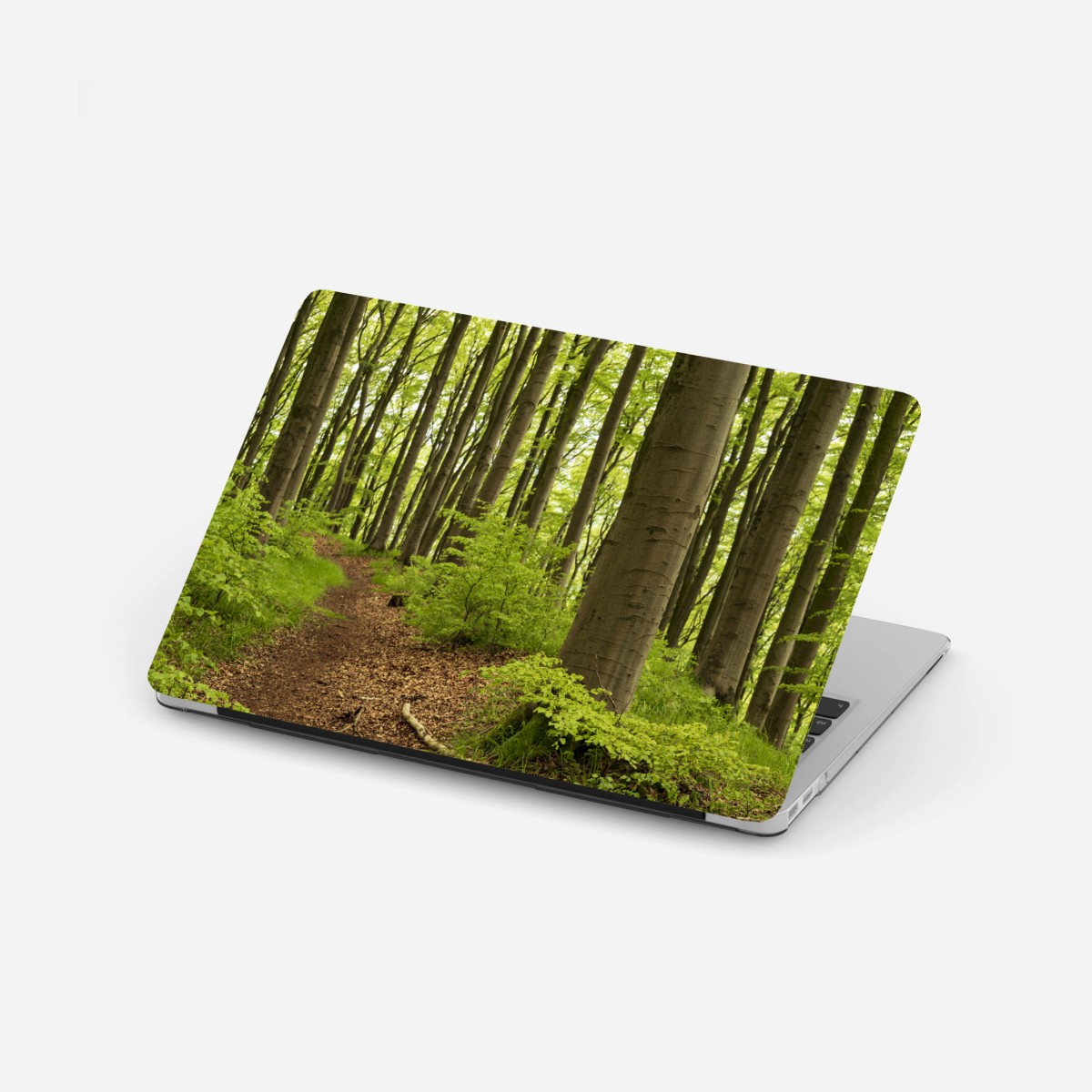 Laptop-Aufkleber ruhiger grüner waldweg – Wallnifity®