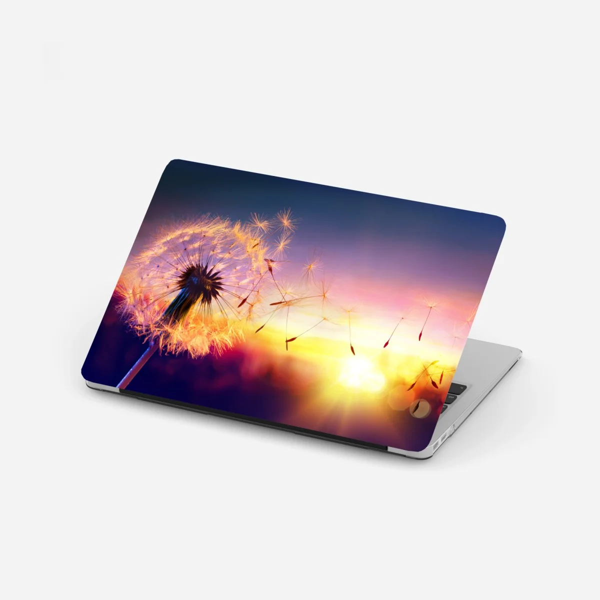 Laptop-Aufkleber goldener löwenzahn bei sonnenuntergang – Wallnifity® Laptop-Aufkleber goldener löwenzahn bei sonnenuntergang – Wallnifity®