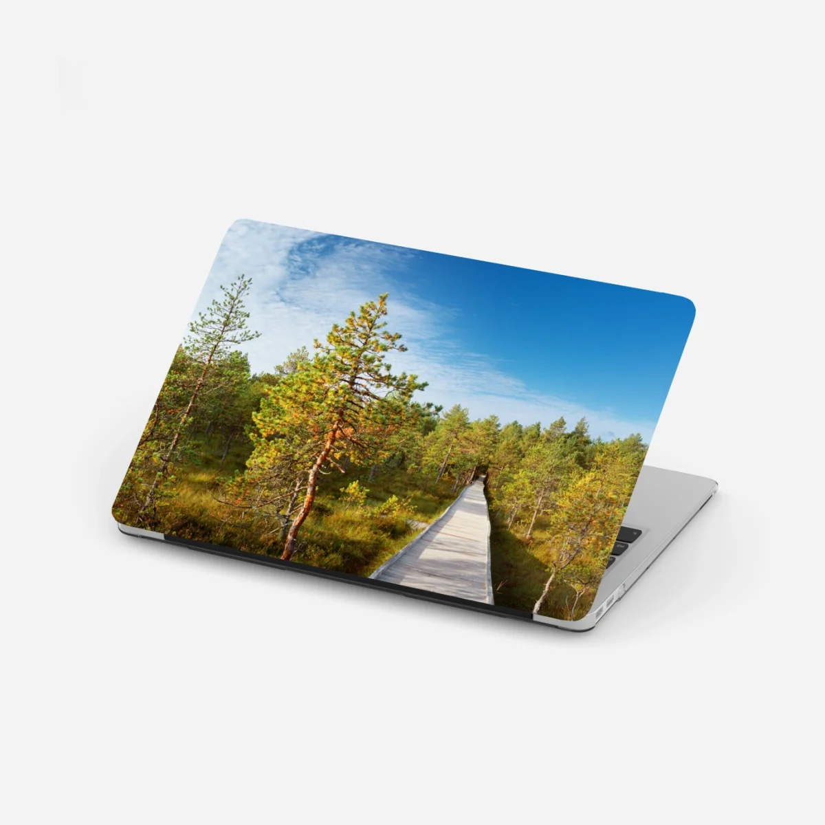 Laptop-Aufkleber sonniger steg durch den kiefernwald – Wallnifity® Laptop-Aufkleber sonniger steg durch den kiefernwald – Wallnifity®