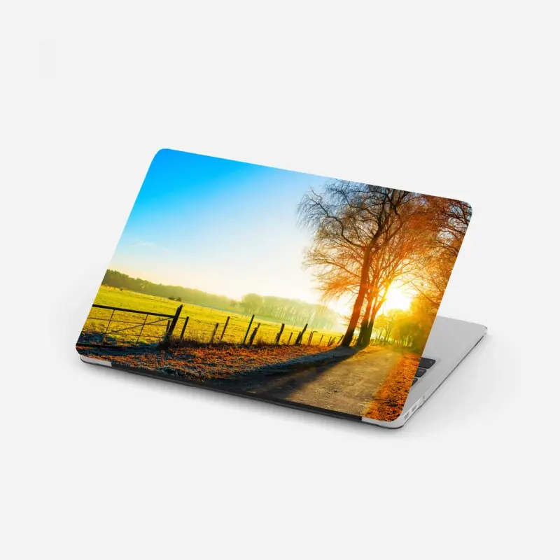 Wiesen – Wallnifity®