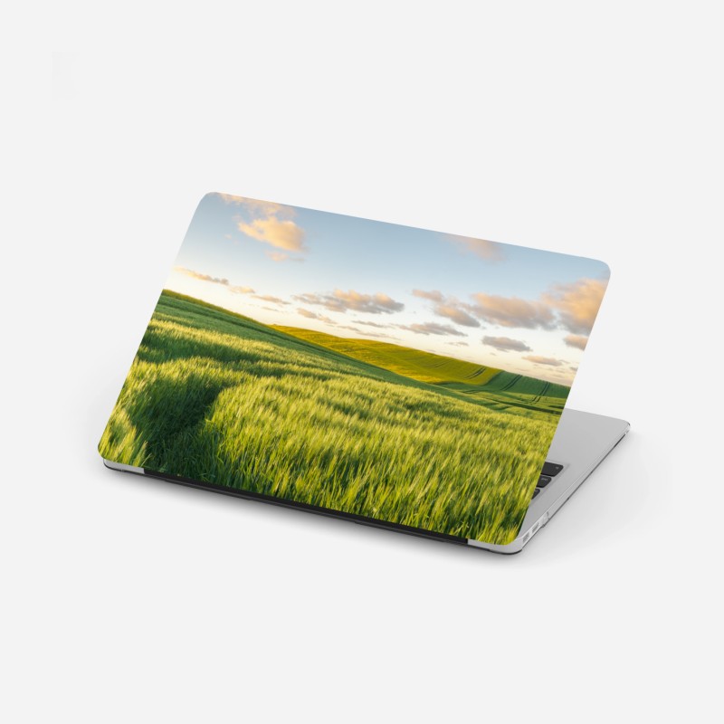 Modern – Wallnifity®