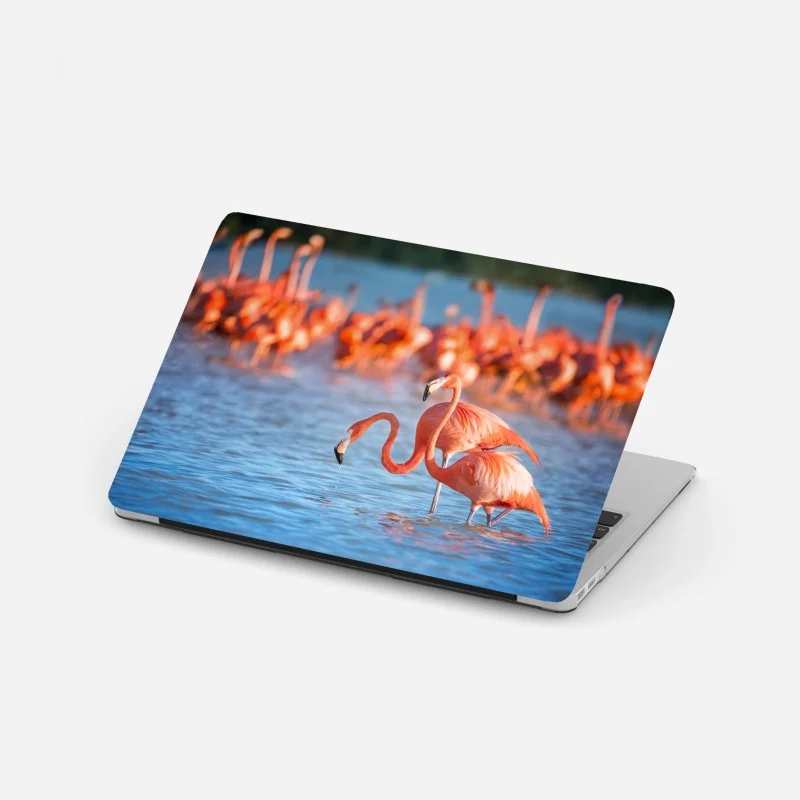 Vögel – Wallnifity®