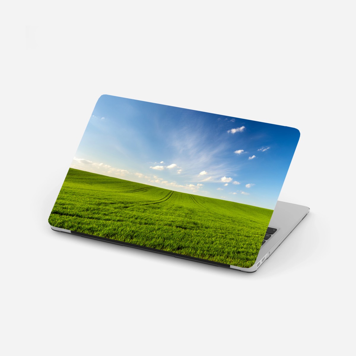 Laptop-Aufkleber frühlingsgrüne wiesenpanorama – Wallnifity®