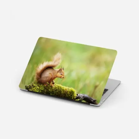 Laptop-Aufkleber rotes eichhörnchen auf moosigem stamm – Wallnifity®