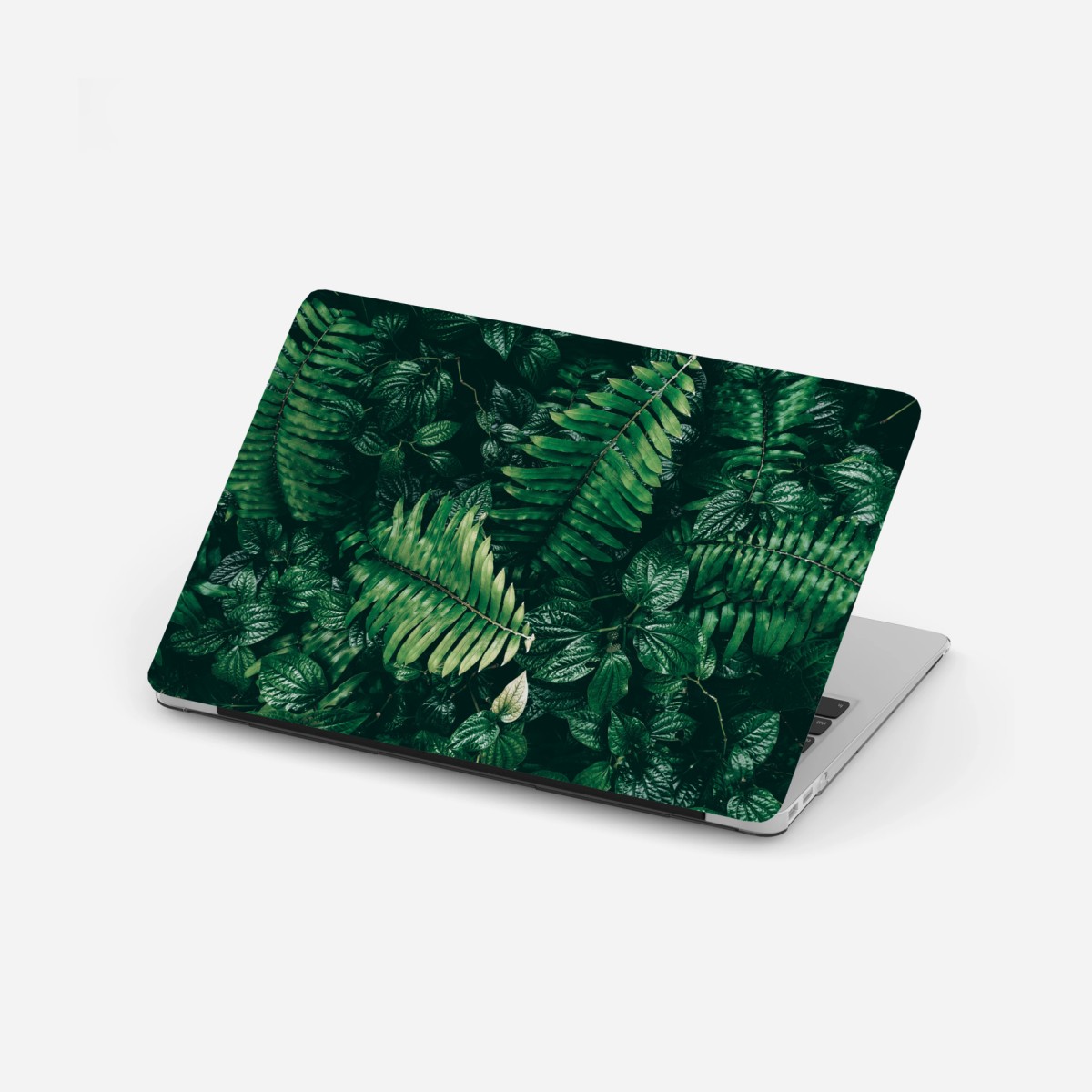 Laptop-Aufkleber üppige tropische blätter – Wallnifity®