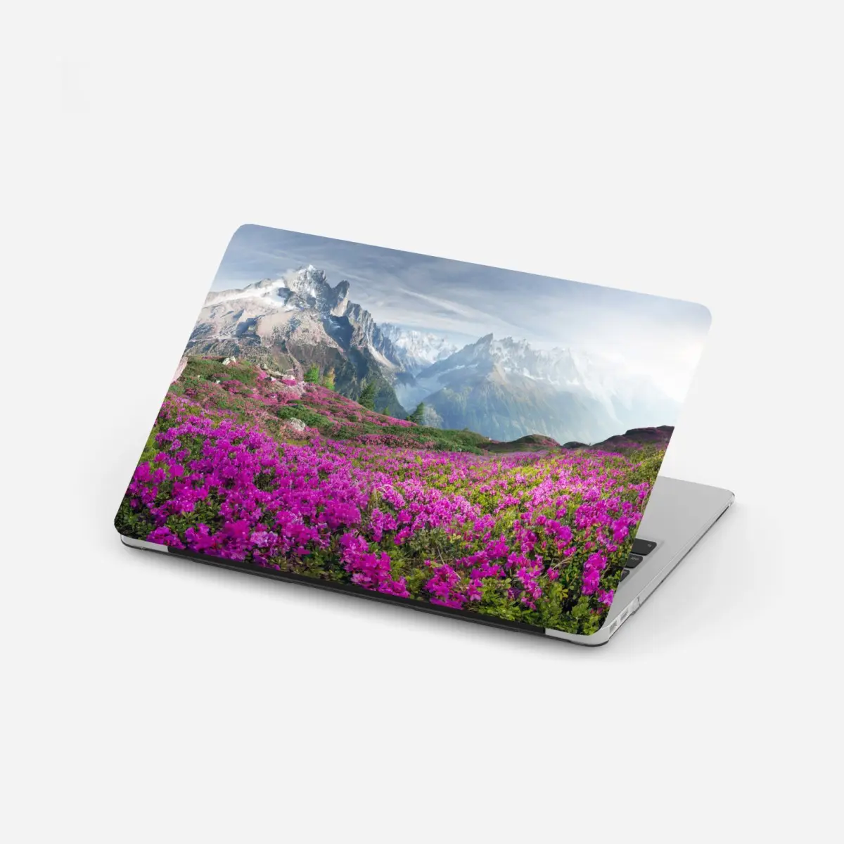 Laptop-Aufkleber alpine rhododendronwiese bei Mont Blanc – Wallnifity®