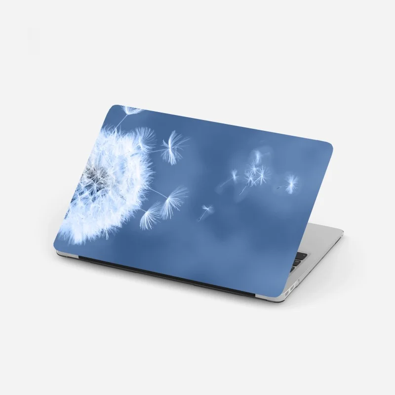 Minimalistisch – Wallnifity®