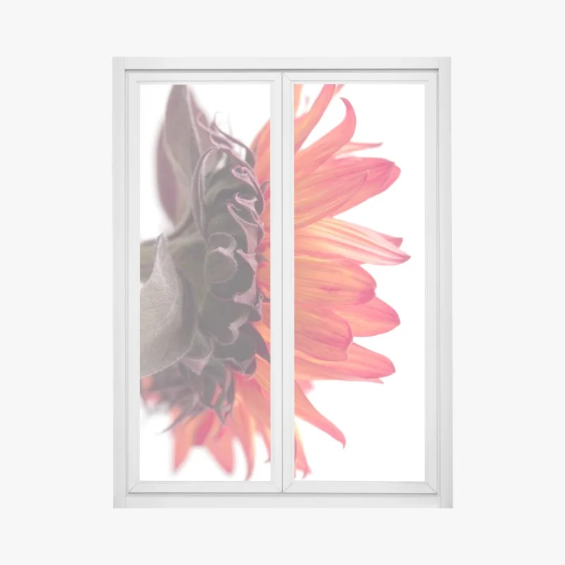 Blumen & Pflanzen – Wallnifity®