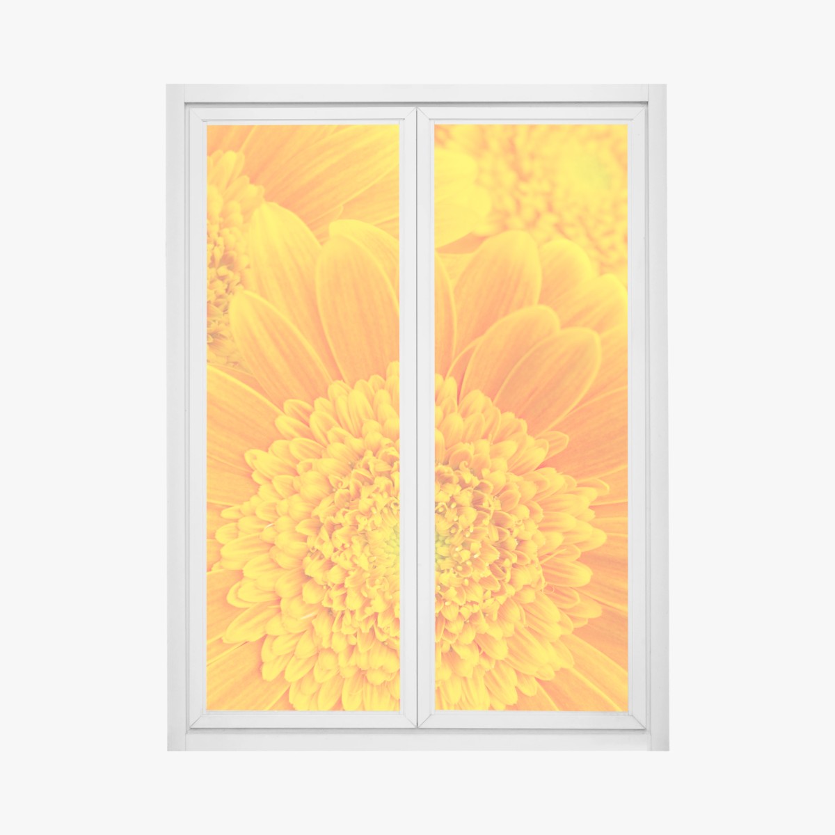 Fensteraufkleber intensive orange gerbera nahaufnahme – Wallnifity®