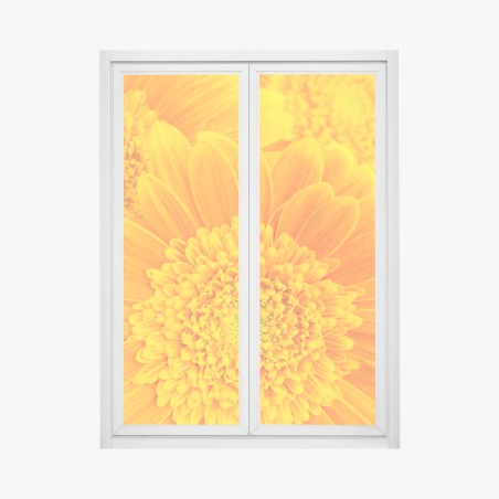 Fensteraufkleber intensive orange gerbera nahaufnahme – Wallnifity®