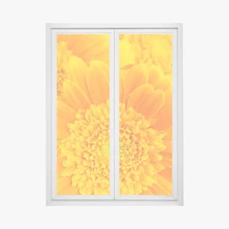 Fensteraufkleber intensive orange gerbera nahaufnahme – Wallnifity®