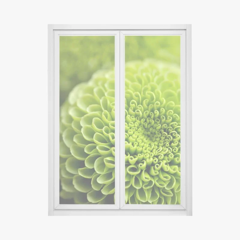 Blumen – Wallnifity®