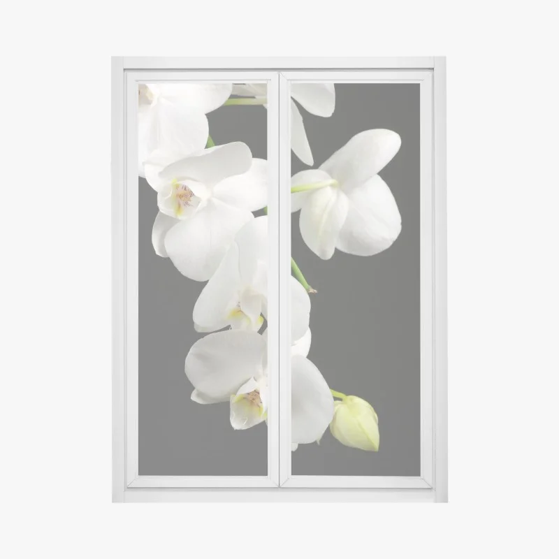 Blumen & Pflanzen – Wallnifity®
