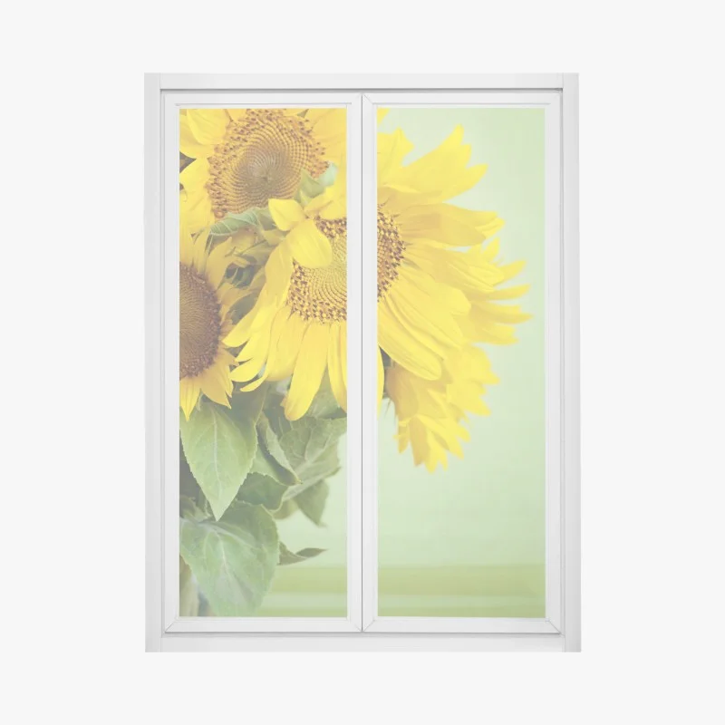 Fensteraufkleber – Wallnifity®