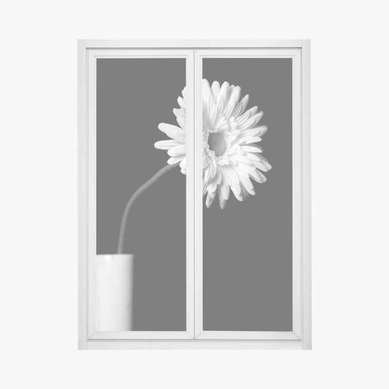 Minimalistisch – Wallnifity®