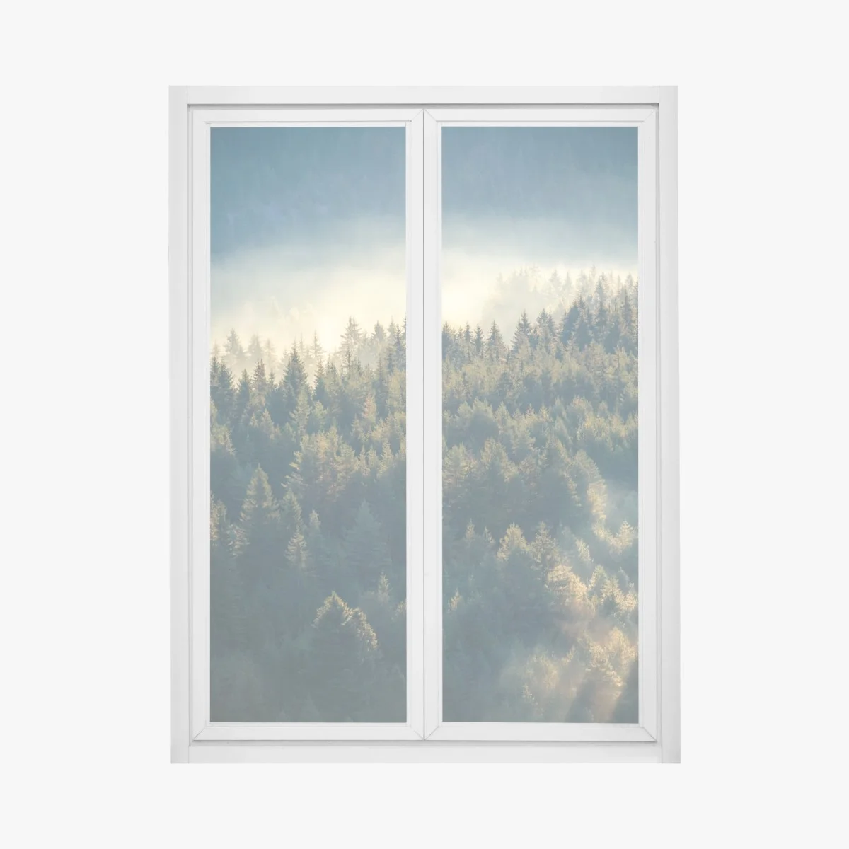 Fensteraufkleber nebliger kiefernwald im morgenlicht – Wallnifity® Fensteraufkleber nebliger kiefernwald im morgenlicht – Wallnifity®