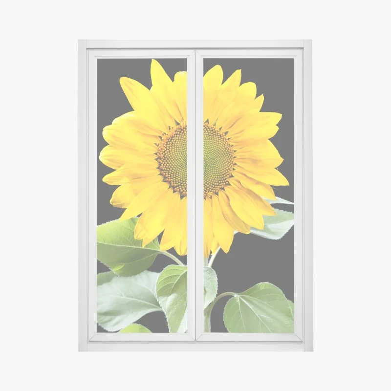 Wohnzimmer – Wallnifity®