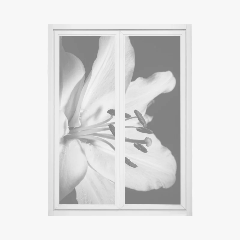 Minimalistisch – Wallnifity®