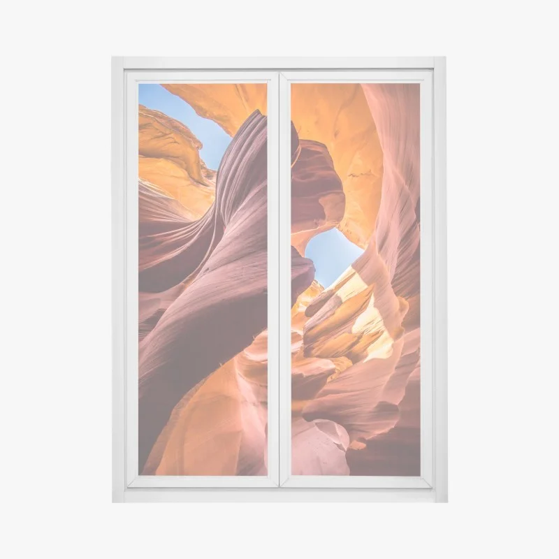 Wüste – Wallnifity®