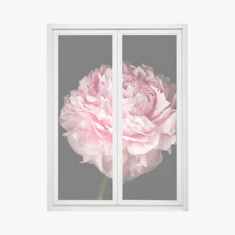 Blumen & Pflanzen – Wallnifity®