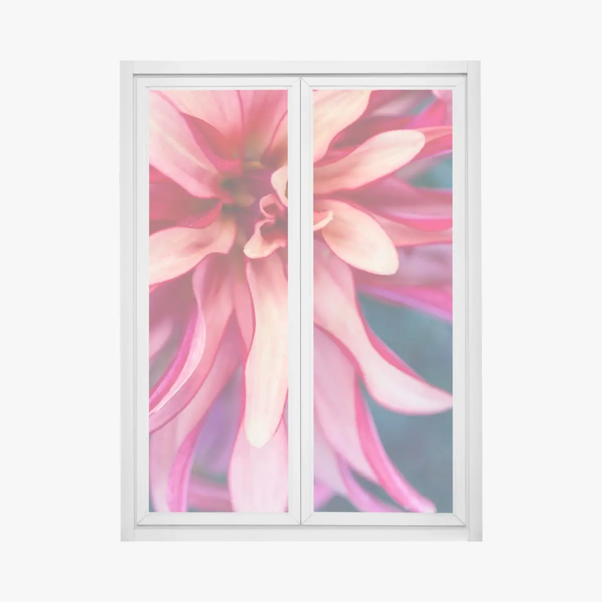Fensteraufkleber vibrantes rosa blütenmakro – Wallnifity®