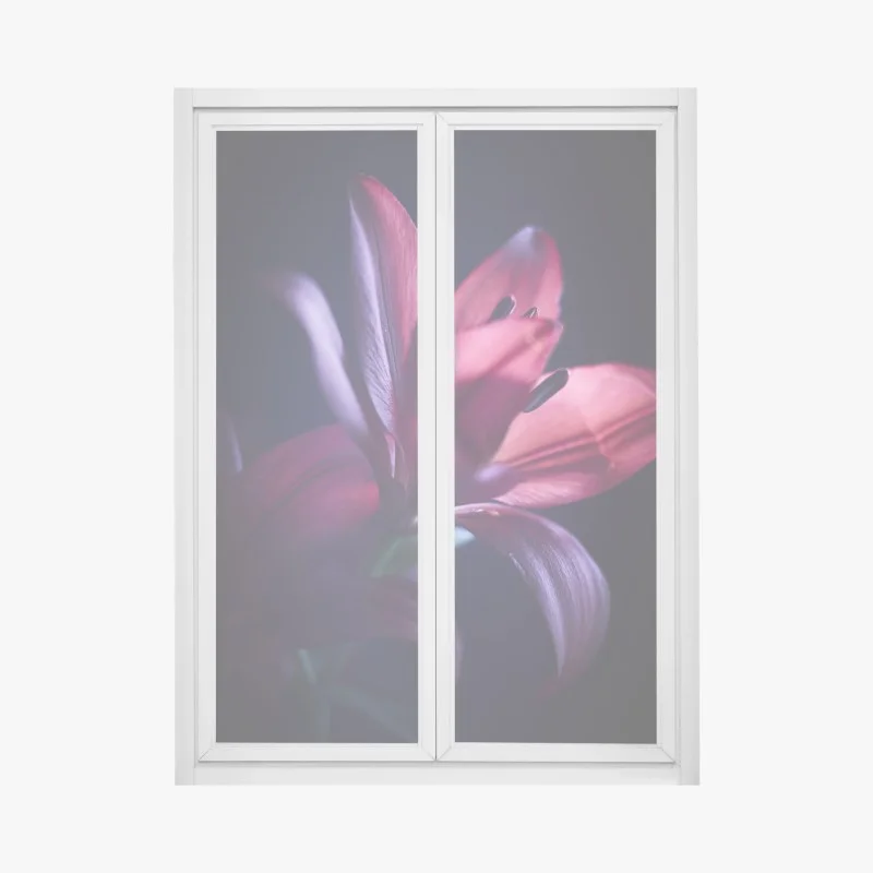 Blumen & Pflanzen – Wallnifity®