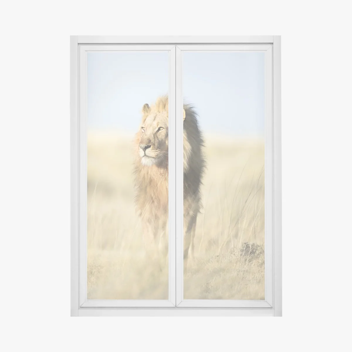 Fensteraufkleber majestätischer löwe in der steppe – Wallnifity® Fensteraufkleber majestätischer löwe in der steppe – Wallnifity®