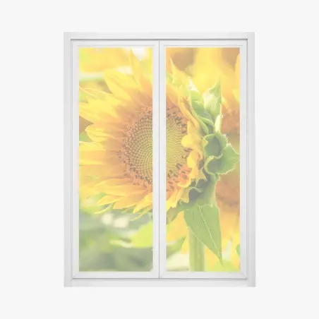 Fensteraufkleber sonnenblume nahaufnahme – Wallnifity®