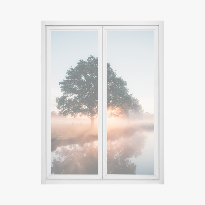 Biophil – Wallnifity®