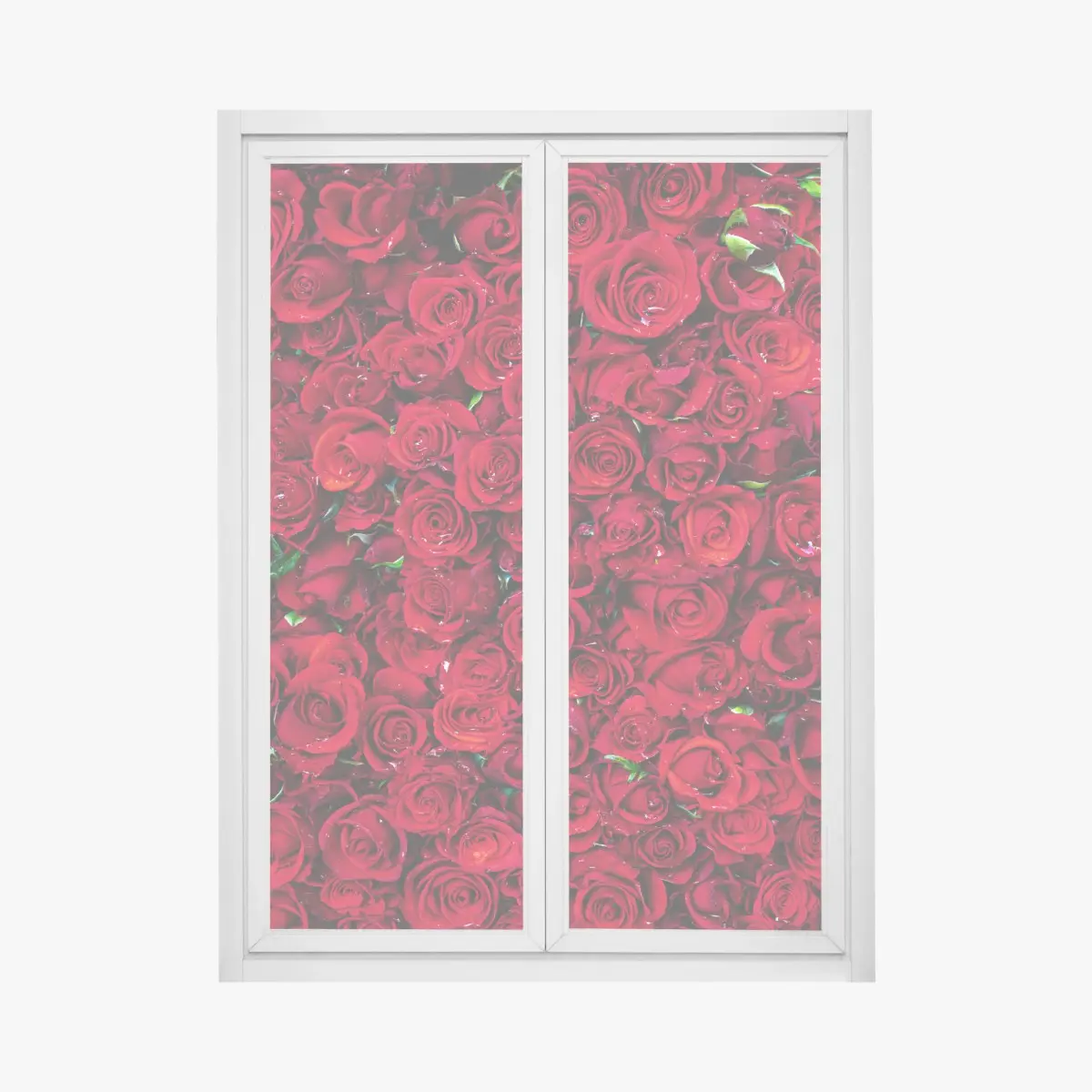 Fensteraufkleber dichte wand aus roten rosen – Wallnifity®