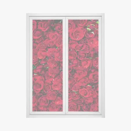 Fensteraufkleber dichte wand aus roten rosen – Wallnifity®