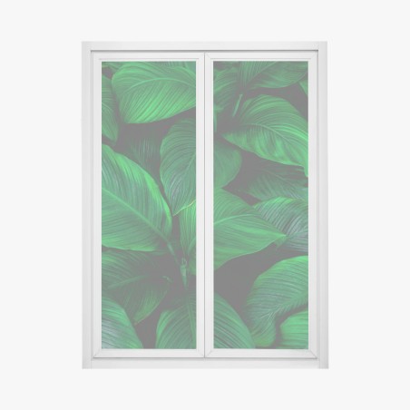 Fensteraufkleber üppige tropische blätter – Wallnifity®