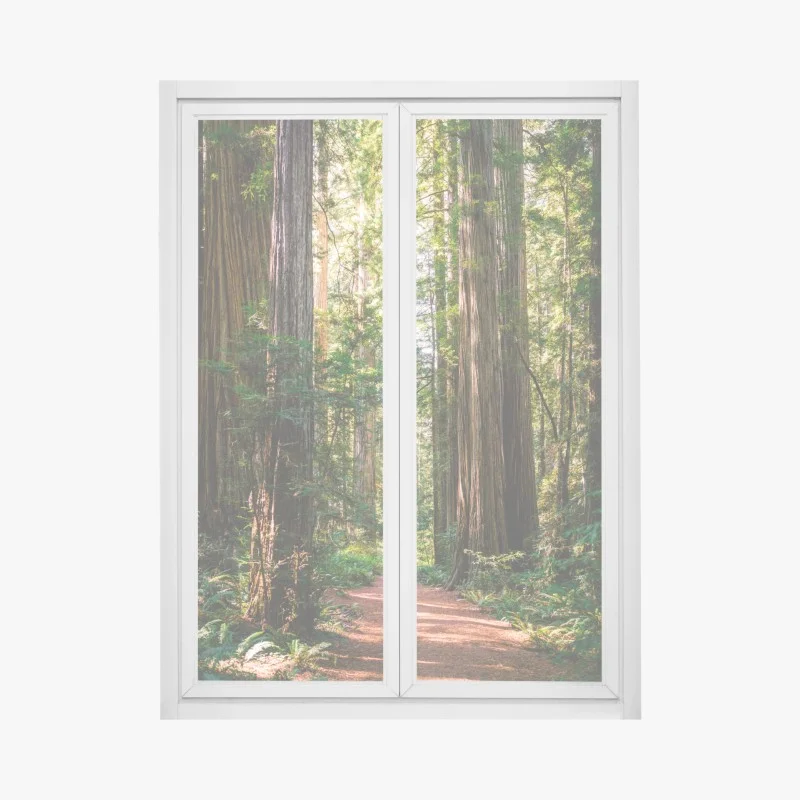 Wälder – Wallnifity®