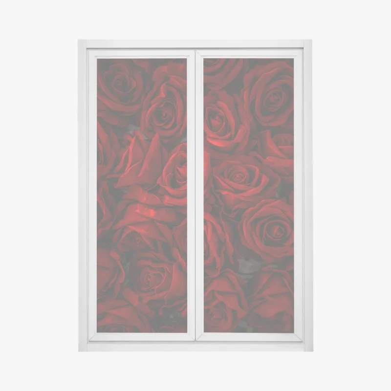 Fensteraufkleber intensive rote rosen nahaufnahme – Wallnifity®