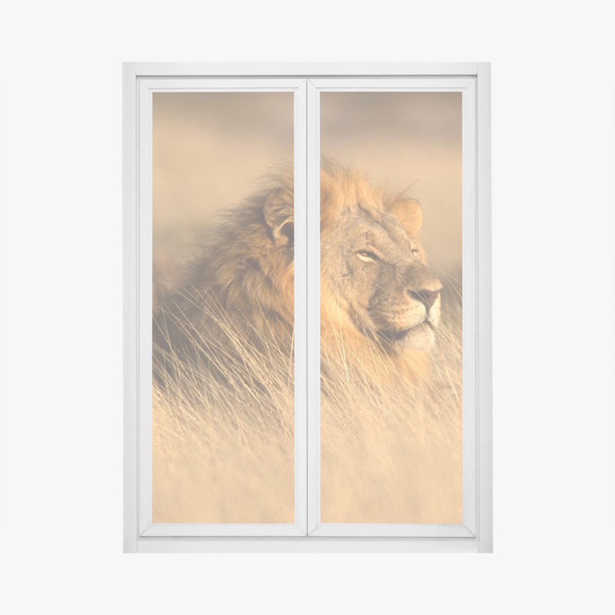 Fensteraufkleber majestätischer löwe im hohen gras – Wallnifity®