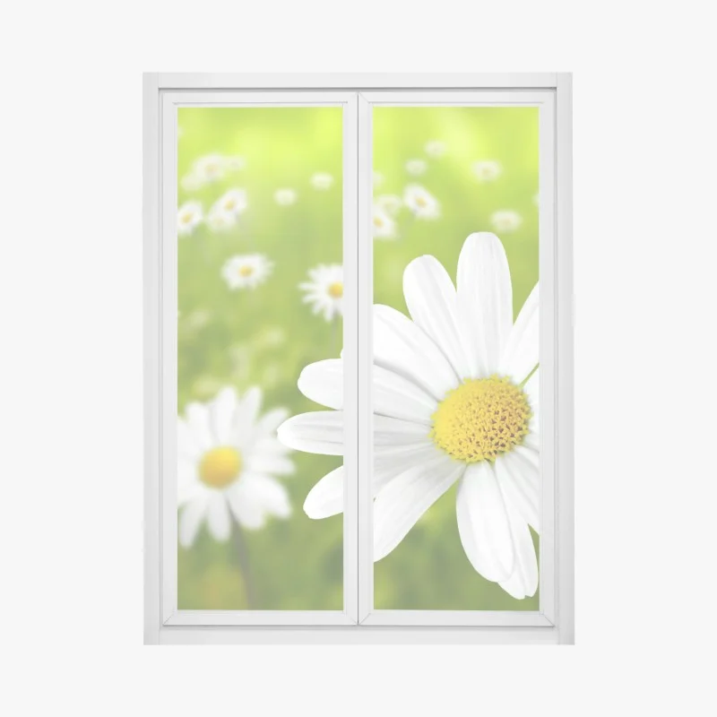 Fensteraufkleber weiße gänseblümchen auf der wiese