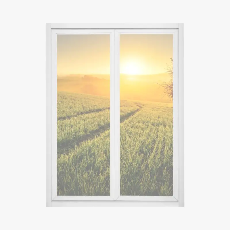 Wiesen – Wallnifity®