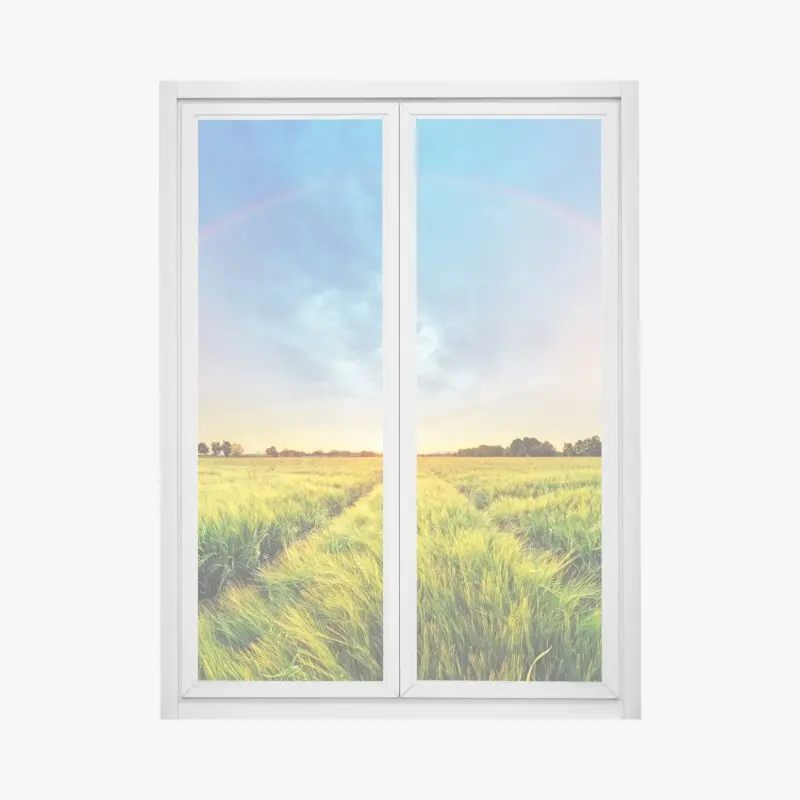 Wiesen – Wallnifity®