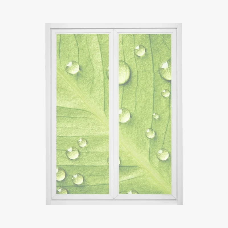 Blumen & Pflanzen – Wallnifity®