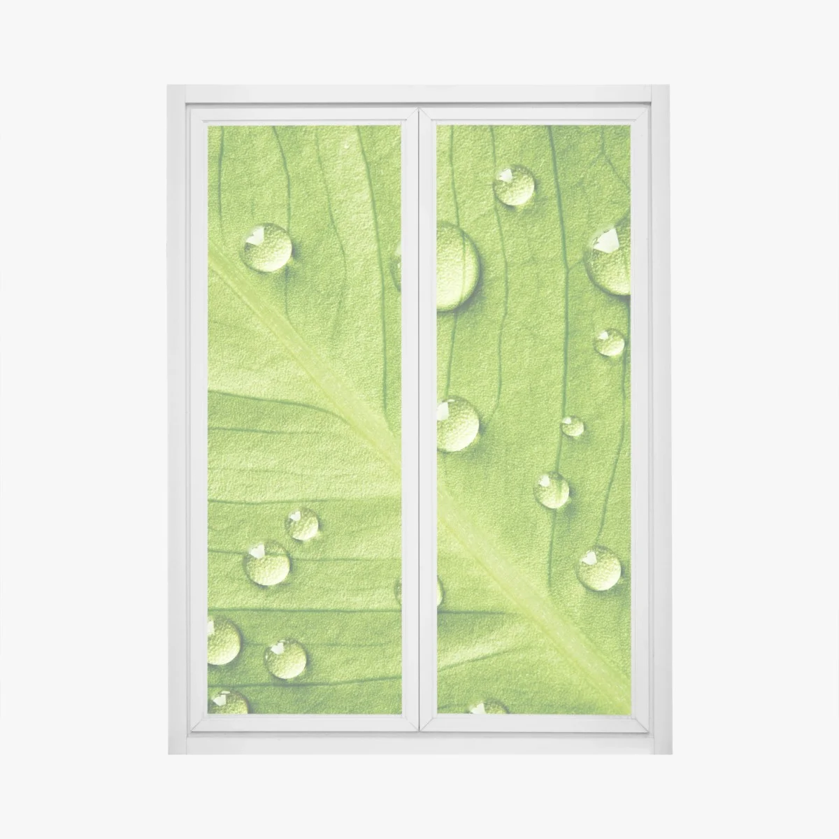 Fensteraufkleber frisches grünes blatt mit wassertropfen – Wallnifity® Fensteraufkleber frisches grünes blatt mit wassertropfen – Wallnifity®